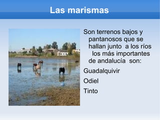 4plantas depuradoras 