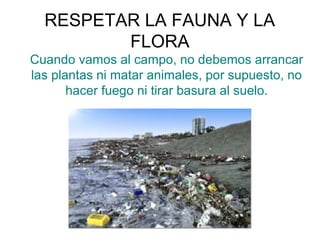 RESPETAR LA FAUNA Y LA
FLORA
Cuando vamos al campo, no debemos arrancar
las plantas ni matar animales, por supuesto, no
hacer fuego ni tirar basura al suelo.
