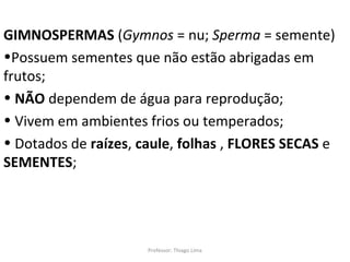GIMNOSPERMAS (Gymnos = nu; Sperma = semente)
•Possuem sementes que não estão abrigadas em
frutos;
• NÃO dependem de água para reprodução;
• Vivem em ambientes frios ou temperados;
• Dotados de raízes, caule, folhas , FLORES SECAS e
SEMENTES;

Professor: Thiago Lima

 