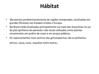 Hábitat
•
•

São plantas predominantemente de regiões temperadas, localizadas em
grandes florestas nos Estados Unidos e Europa.
No Brasil estão localizadas principalmente na mata das Araucárias no sul
do país (pinheiro-do-paraná) e são muito utilizadas como plantas
ornamentais em jardins de casas e em praças públicas.

•

Os representantes mais comuns das gimnospermas são os pinheiros,
pinnus, cycas, tuias, sequóias entre outras

.

 