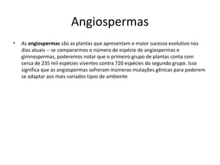 Angiospermas
•

As angiospermas são as plantas que apresentam o maior sucesso evolutivo nos
dias atuais -- se compararmos o número de espécie de angiospermas e
gimnospermas, poderemos notar que o primeiro grupo de plantas conta com
cerca de 235 mil espécies viventes contra 720 espécies do segundo grupo. Isso
significa que as angiospermas sofreram inúmeras mutações gênicas para poderem
se adaptar aos mais variados tipos de ambiente

 