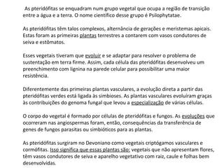 As pteridófitas se enquadram num grupo vegetal que ocupa a região de transição
entre a água e a terra. O nome científico desse grupo é Psilophytatae.
As pteridófitas têm talos complexos, alternância de gerações e meristemas apicais.
Estas foram as primeiras plantas terrestres a contarem com vasos condutores de
seiva e estômatos.
Esses vegetais tiveram que evoluir e se adaptar para resolver o problema de
sustentação em terra firme. Assim, cada célula das pteridófitas desenvolveu um
preenchimento com lignina na parede celular para possibilitar uma maior
resistência.
Diferentemente das primeiras plantas vasculares, a evolução direta a partir das
pteridófitas verdes está ligada às simbioses. As plantas vasculares evoluíram graças
às contribuições do genoma fungal que levou a especialização de várias células.
O corpo do vegetal é formado por células de pteridófitas e fungos. As evoluções que
ocorreram nas angiospermas foram, então, consequências da transferência de
genes de fungos parasitas ou simbióticos para as plantas.
As pteridófitas surgiram no Devoniano como vegetais criptógamos vasculares e
cormófitas. Isso significa que essas plantas são: vegetais que não apresentam flores,
têm vasos condutores de seiva e aparelho vegetativo com raiz, caule e folhas bem
desenvolvidas.

 