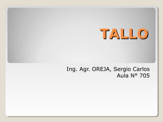 TALLO
Ing. Agr. OREJA, Sergio Carlos
Aula N° 705

 