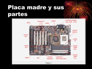 Placa madre y sus partes 
