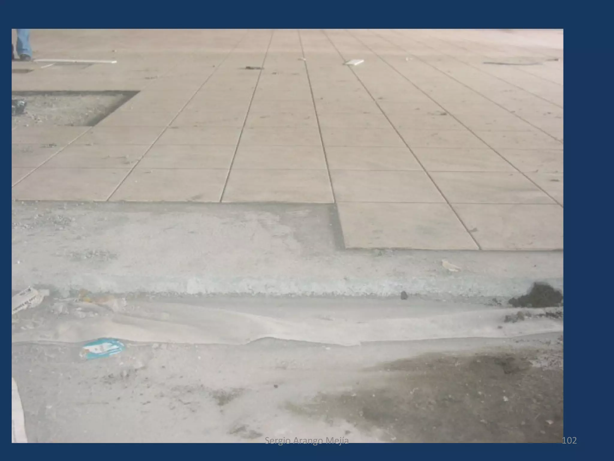 102Sergio Arango Mejía
 