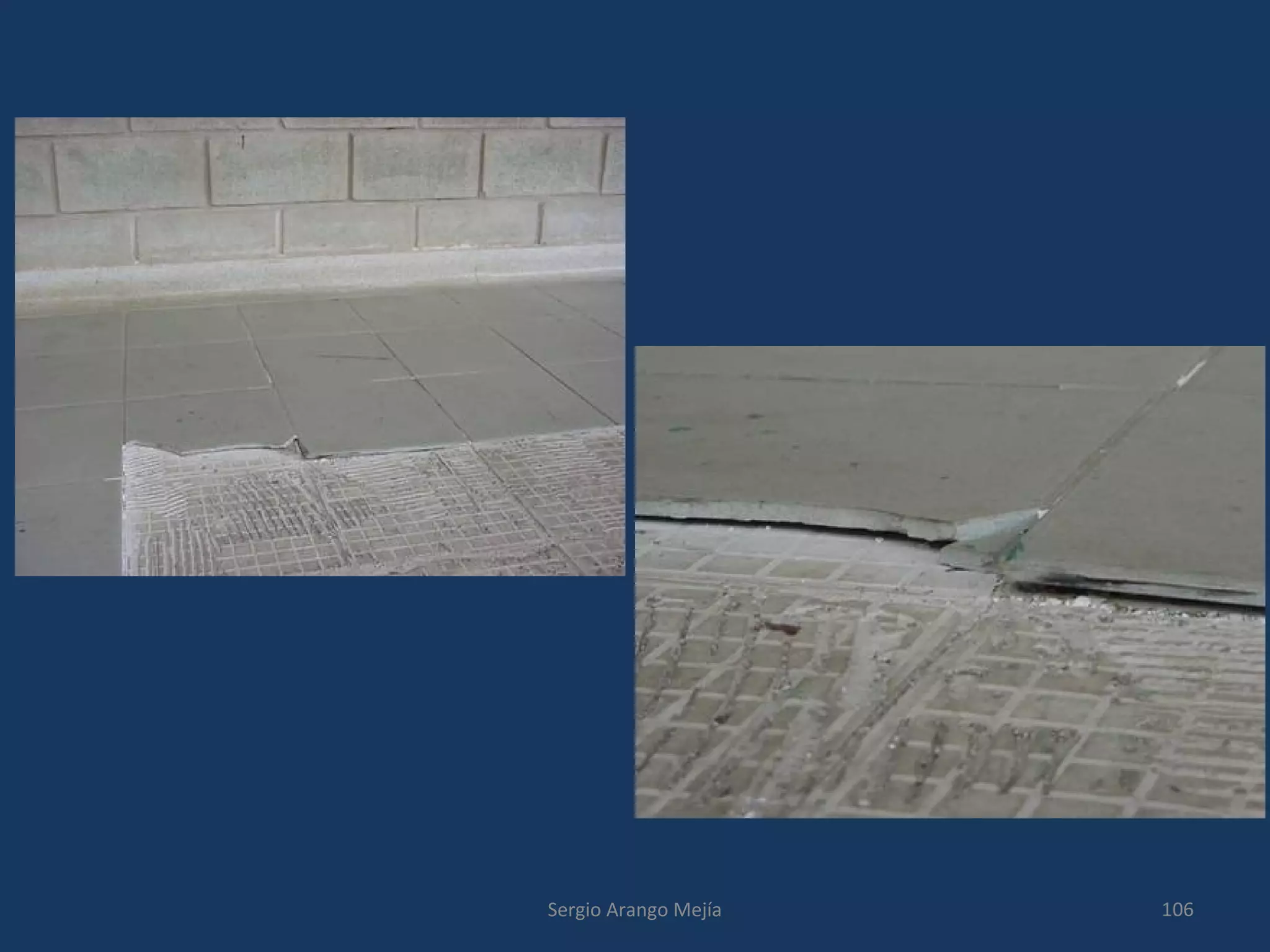 106Sergio Arango Mejía
 