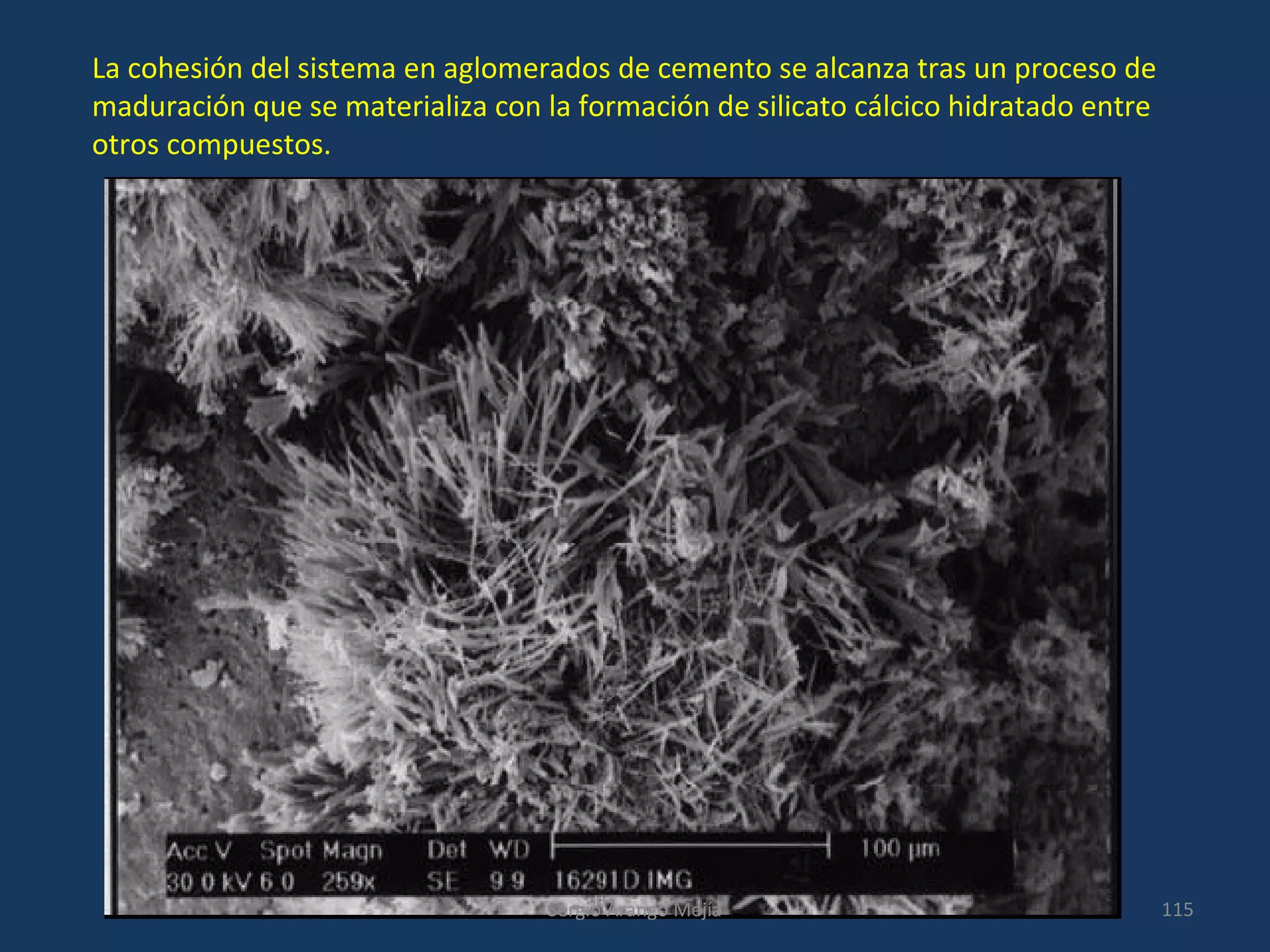 La cohesión del sistema en aglomerados de cemento se alcanza tras un proceso de
maduración que se materializa con la formación de silicato cálcico hidratado entre
otros compuestos.
115Sergio Arango Mejía
 