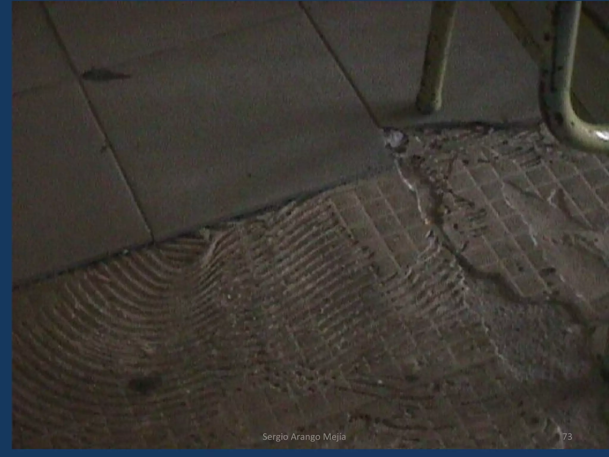 73Sergio Arango Mejía
 