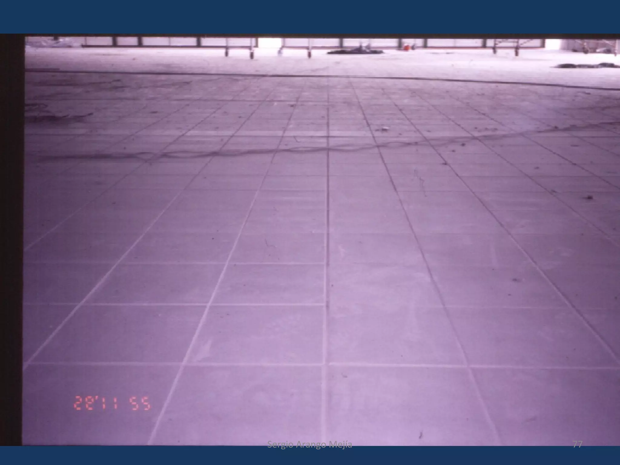 77Sergio Arango Mejía
 