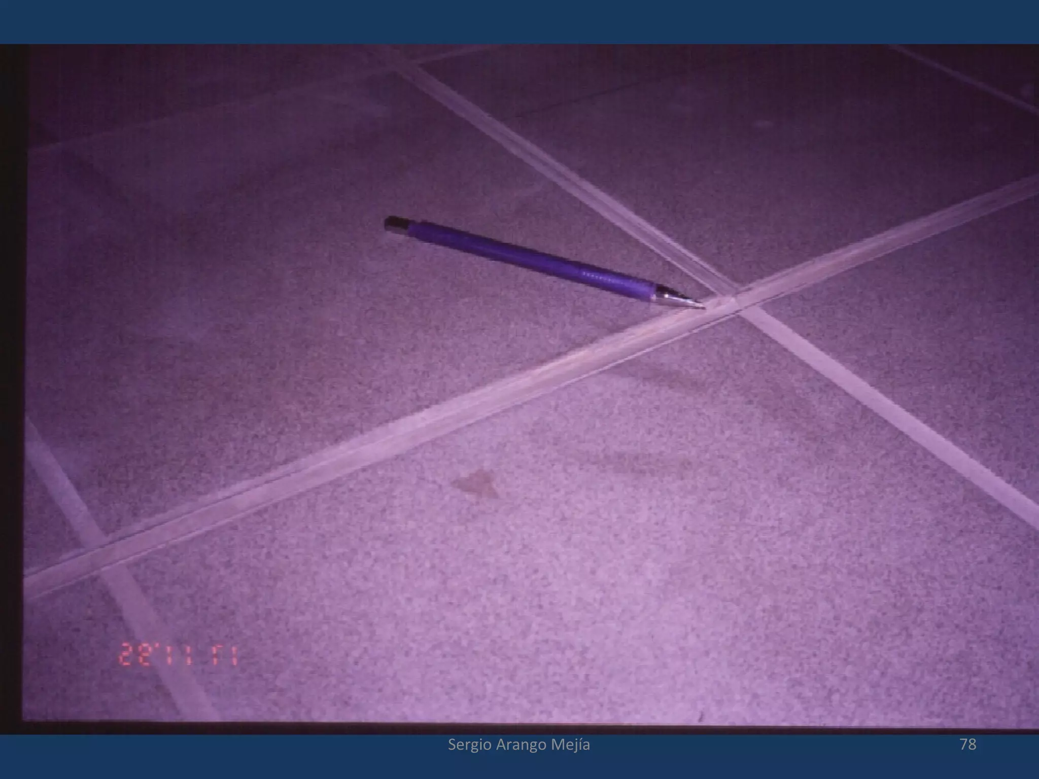 78Sergio Arango Mejía
 