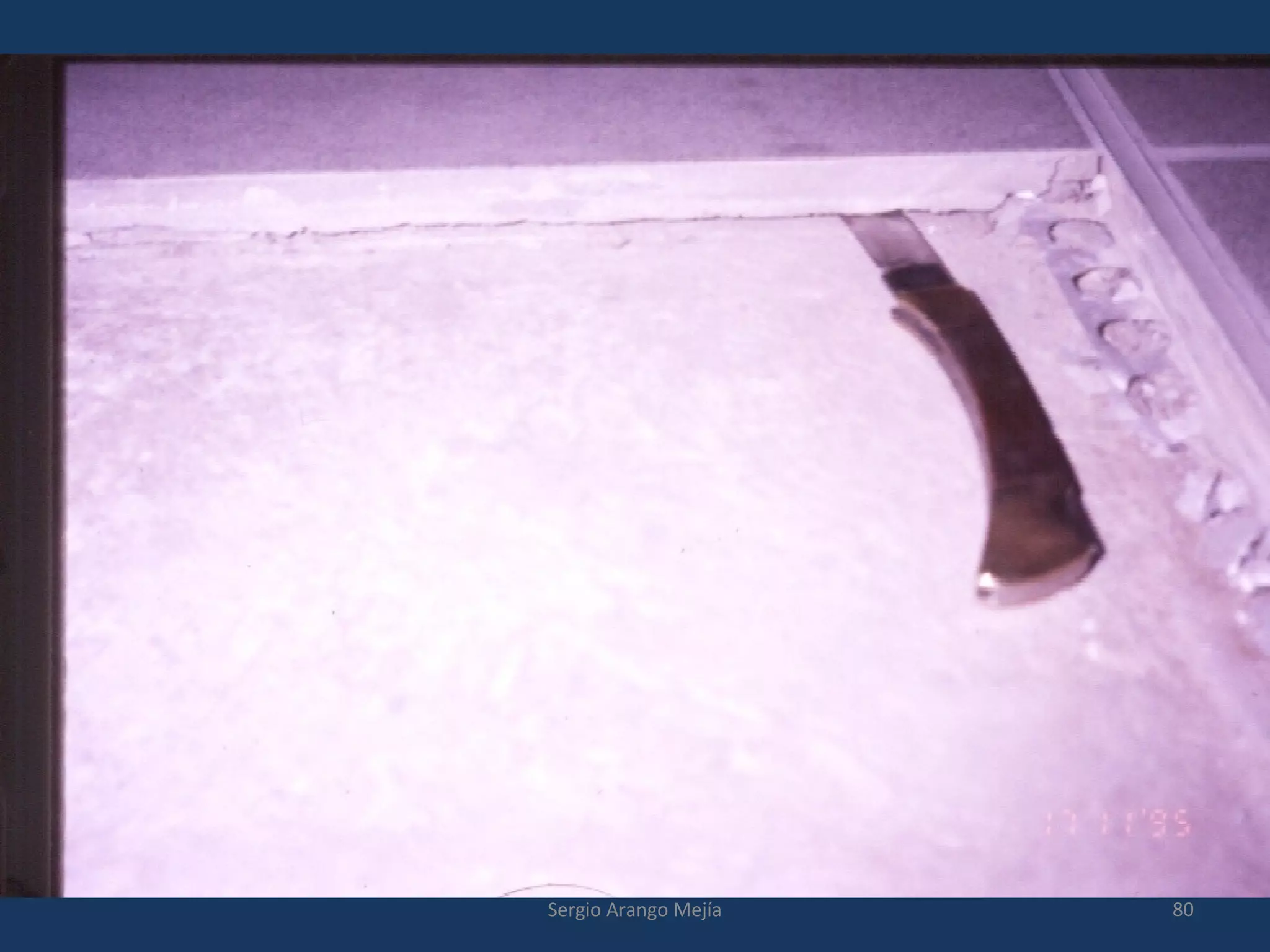 80Sergio Arango Mejía
 