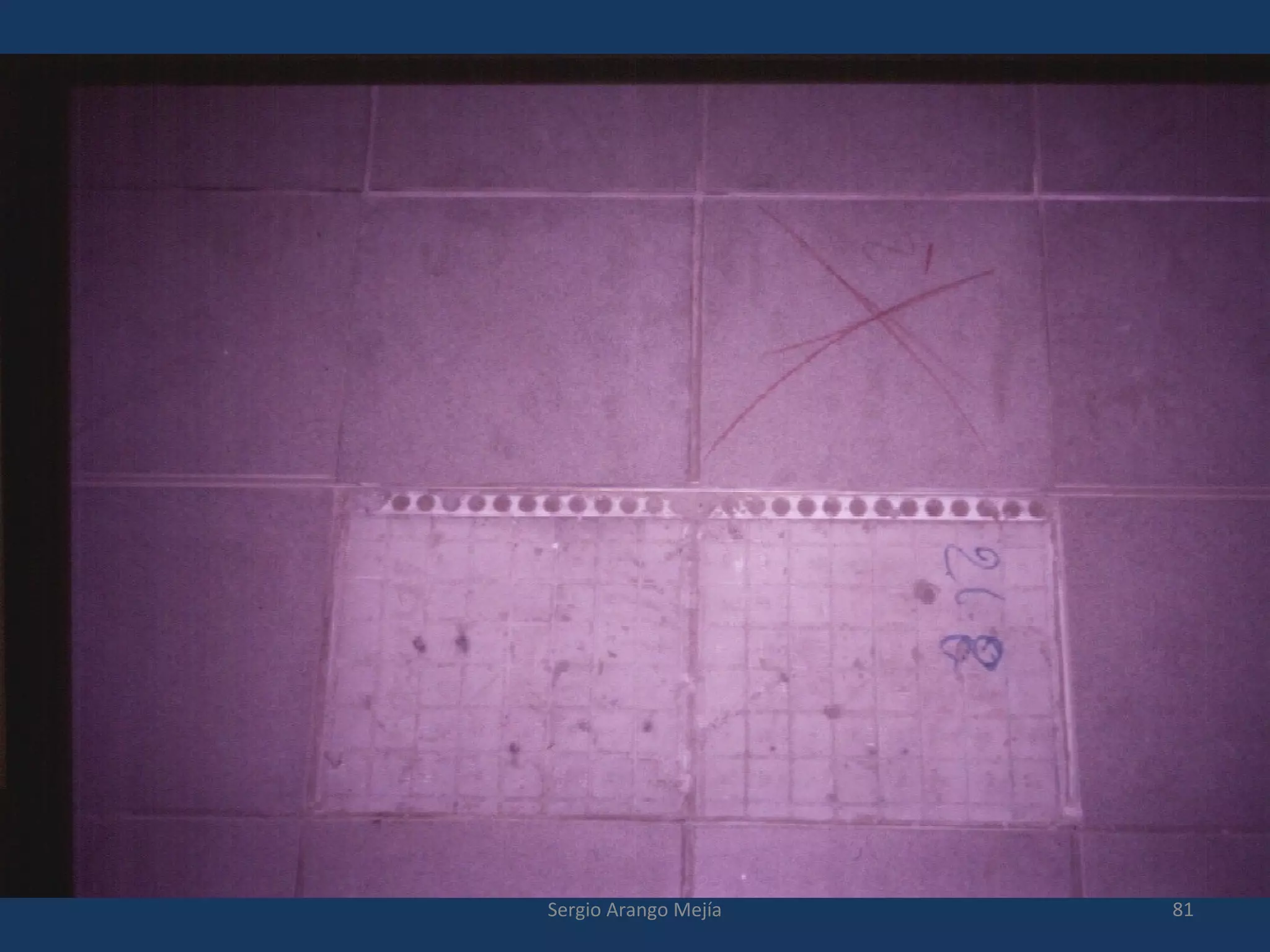 81Sergio Arango Mejía
 