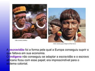 A escravidão foi a forma pela qual a Europa conseguiu suprir o
que faltava em sua economia.
O indígena não conseguiu se adaptar a escravidão e o escravo
africano ficou com esse papel; era imprescindível para o
sistema colonial.
 