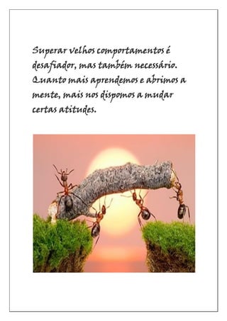 Superar velhos comportamentos é
desafiador, mas também necessário.
Quanto mais aprendemos e abrimos a
mente, mais nos dispomos a mudar
certas atitudes.
 