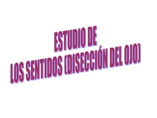 ESTUDIO DE  LOS SENTIDOS (DISECCIÓN DEL OJO) 