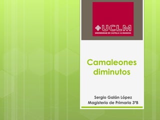 Camaleones
diminutos
Sergio Galán López
Magisterio de Primaria 3ºB
 
