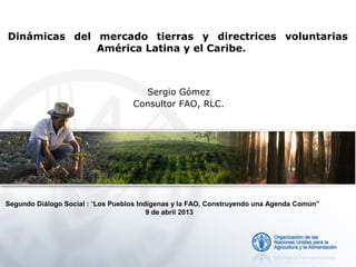 Dinámicas del mercado tierras y directrices voluntarias
América Latina y el Caribe.

Sergio Gómez
Consultor FAO, RLC.

Segundo Diálogo Social : “Los Pueblos Indígenas y la FAO, Construyendo una Agenda Común”
9 de abril 2013

 