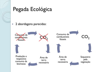 Pegada Ecológica

   2 abordagens parecidas:


    Consumo de                    Consumo de
    combustíveis      CO2         combustíveis
                                    fósseis
                                                 CO2
      fósseis




    Produção e                      Área de      Sequestro
                      Área de
     respectivo                      terra          pela
                       terra
    consumo da                     necessária    vegetação
                     necessária
      biomassa
 