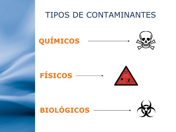 Contaminación y sus efectos en los ecosistemas y el ser humano Contaminación y sus efectos en los ecosistemas y el ser humano