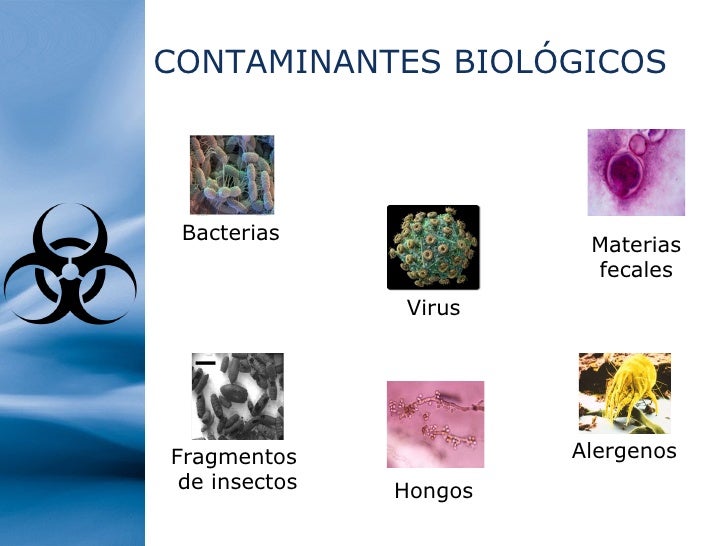 Contaminación y sus efectos en los ecosistemas y el ser humano Contaminación y sus efectos en los ecosistemas y el ser humano