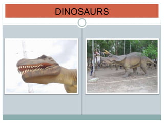 DINOSAURS
 