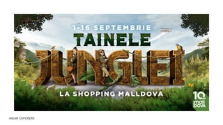 Sergiu Mindru cv & portofolio