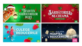 Sergiu Mindru cv & portofolio