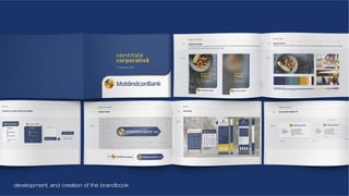 Sergiu Mindru cv & portofolio