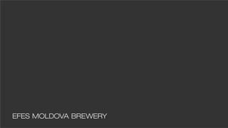 Sergiu Mindru cv & portofolio