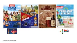 Sergiu Mindru cv & portofolio