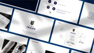Sergiu Mindru cv & portofolio