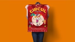 Sergiu Mindru cv & portofolio