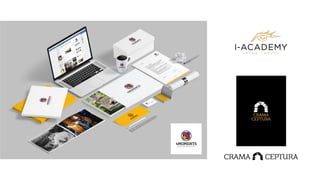 Sergiu Mindru cv & portofolio