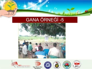 GANA ÖRNEĞİ -5 