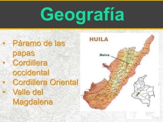 Geografía 
• Páramo de las 
papas 
• Cordillera 
occidental 
• Cordillera Oriental 
• Valle del 
Magdalena 
 