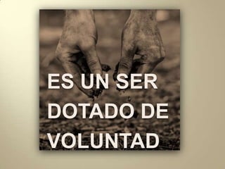 ES UN SERDOTADO DEVOLUNTAD