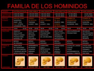 FAMILIA DE LOS HOMINIDOS 1.400  CM3 1.500  CM3 800/950  CM3 900  CM3 650/800  CM3 450  CM3 CRANEO CAPACIDAD UTILES CAZA DECORACION CERAMICA AGRICULTURA PINTURAS CUCHILLOS, LANZAS CUEVAS FUEGO ENTERRAMIENTOS EURASIA Y ORIENTE HACHAS MANO FUEGO CUEVAS AFRICA Y EURASIA  CARNIVORO CAZA Y RECOLECCION ACHELENSE EUROPA Y ASIA HERRAMIENTA EN PIEDRA CAZADOR SABANAS AFRICA OMNIVOROS NO CAZADORES SELVAS HUMEDAS Y BOSQUES SECOS AFRICA ORIENTAL FORMA DE VIDA BIPEDO ERGUIDO BIPEDO ERGUIDO BIPEDO ERGUIDO BIPEDO ERGUIDO BIPEDO ERGUIDO BIPEDO NO ERGUIDO LOCOMOCION SIN ARCOS SIN PROGNOSIS FRENTE AMPLIA MENTON SALIENTE ARCO SUPERCILIAR PROGNATISMO ARCO CILIAR FRENTE CORTA MANDIBULA PROMINENTE PROGNATISMO ARCO CILIAR PROGNATISMO REDUCCION DE LOS MOLARES ARCO  CILIAR MENTON RETRAIDO DIENTES PEQUEÑOS SIMIESCO ARCO CILIAR FRENTE HUIDIZA PROGNATISMO MANDIBULAR ANATOMIA 165 M  65 KG 160 M  76 KG 170 M  56 KG 160 M  55 KG 140 M  40 KG 120 M  32 KG TALLA Y PESO HOMBRE DE CRO-MAGNON DORDOÑA (FRANCIA, 1868) HOMBRE DE NEANDERTHAL DÜSSELDORF (ALEMANIA, 1856) HOMBRE DE JAVA (DUBOIS, 1986) HOMBRE DE PEKIN  (1929) NIÑO DEL LAGO TURKANA KENIA (LEAKEY, 1984) CRANEO DE OLDUVAI TANZANIA (LEAKEY, 1960) NIÑO DE TAUNG SUDAFRICA (DART, 1924) LUCY , ETIOPIA (JOHANSON, 1976) RESTOS FOSILES 40.000 AÑOS ACTUALIDAD 127.000 AÑOS 40.000 AÑOS 1.600.000 AÑOS 300.000 AÑOS 1.800.000 AÑOS 1.400.000 AÑOS 2.000.000 AÑOS 1.500.000 AÑOS 4.000.000 AÑOS 2.000.000 AÑOS CRONOLOGIA (INICIO-FINAL) HOMO SAPIENS HOMO NEANDERTAL HOMO ERECTUS HOMO ERGASTER HOMO HABILIS AUSTRALOPITECUS GENERO  
