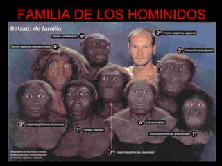 Microsoft ® Encarta ® Biblioteca de Consulta 2002.  © 1993-2001 Microsoft Corporation. Reservados todos los derechos. FAMILIA DE LOS HOMINIDOS 