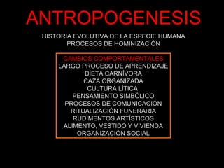 ANTROPOGENESIS HISTORIA EVOLUTIVA DE LA ESPECIE HUMANA PROCESOS DE HOMINIZACIÓN CAMBIOS COMPORTAMENTALES LARGO PROCESO DE APRENDIZAJE DIETA CARNÍVORA CAZA ORGANIZADA CULTURA LÍTICA  PENSAMIENTO SIMBÓLICO PROCESOS DE COMUNICACIÓN RITUALIZACIÓN FUNERARIA RUDIMENTOS ARTÍSTICOS ALIMENTO, VESTIDO Y VIVIENDA ORGANIZACIÓN SOCIAL 