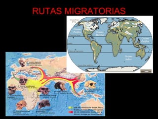 RUTAS MIGRATORIAS 