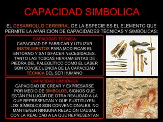 CAPACIDAD SIMBOLICA EL  DESARROLLO CEREBRAL  DE LA ESPECIE ES EL ELEMENTO QUE PERMITE LA APARICIÓN DE CAPACIDADES TÉCNICAS Y SIMBÓLICAS: CAPACIDAD TÉCNICA CAPACIDAD DE FABRICAR Y UTILIZAR  INSTRUMENTOS  PARA MODIFICAR EL ENTORNO Y SATISFACER NECESIDADES. TANTO LAS TOSCAS HERRAMIENTAS DE PIEDRA DEL PALEOLÍTICO COMO EL LÁSER SON CONSECUENCIA DE LA CAPACIDAD  TÉCNICA  DEL SER HUMANO CAPACIDAD SIMBÓLICA CAPACIDAD DE CREAR Y EXPRESARSE POR MEDIO DE  SÍMBOLOS , SIGNOS QUE ESTÁN EN LUGAR DE OTRA REALIDAD A LA QUE REPRESENTAN Y QUE SUSTITUYEN. LOS SÍMBOLOS SON CONVENCIONALES: NO MANTIENEN NINGUNA RELACIÓN CAUSAL CON LA REALIDAD A LA QUE REPRESENTAN 