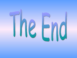 The End 