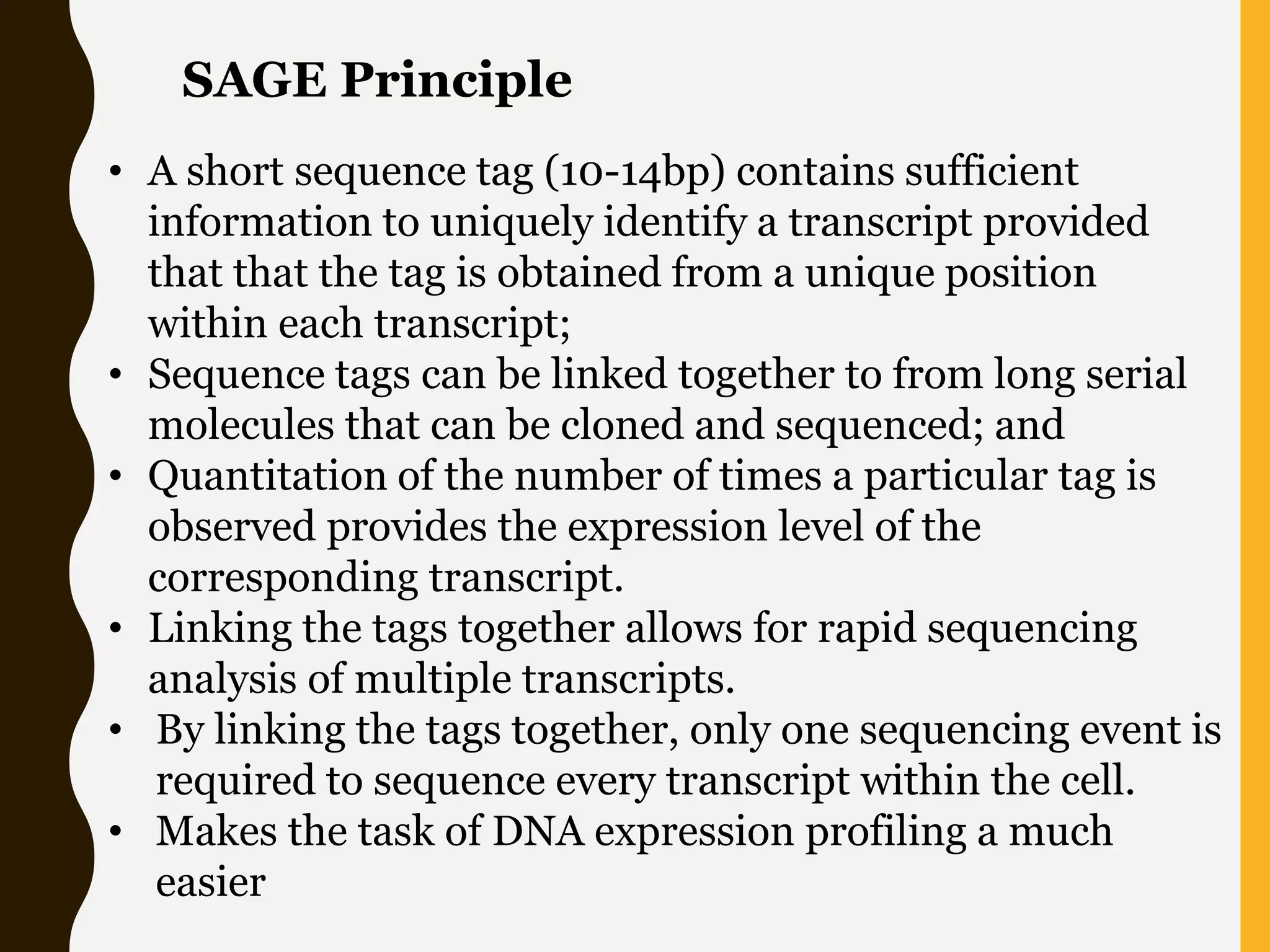 • A short sequence tag (10-14bp) contains sufficient
information to uniquely identify a transcript provided
that that the tag is obtained from a unique position
within each transcript;
• Sequence tags can be linked together to from long serial
molecules that can be cloned and sequenced; and
• Quantitation of the number of times a particular tag is
observed provides the expression level of the
corresponding transcript.
• Linking the tags together allows for rapid sequencing
analysis of multiple transcripts.
• By linking the tags together, only one sequencing event is
required to sequence every transcript within the cell.
• Makes the task of DNA expression profiling a much
easier
SAGE Principle
 
