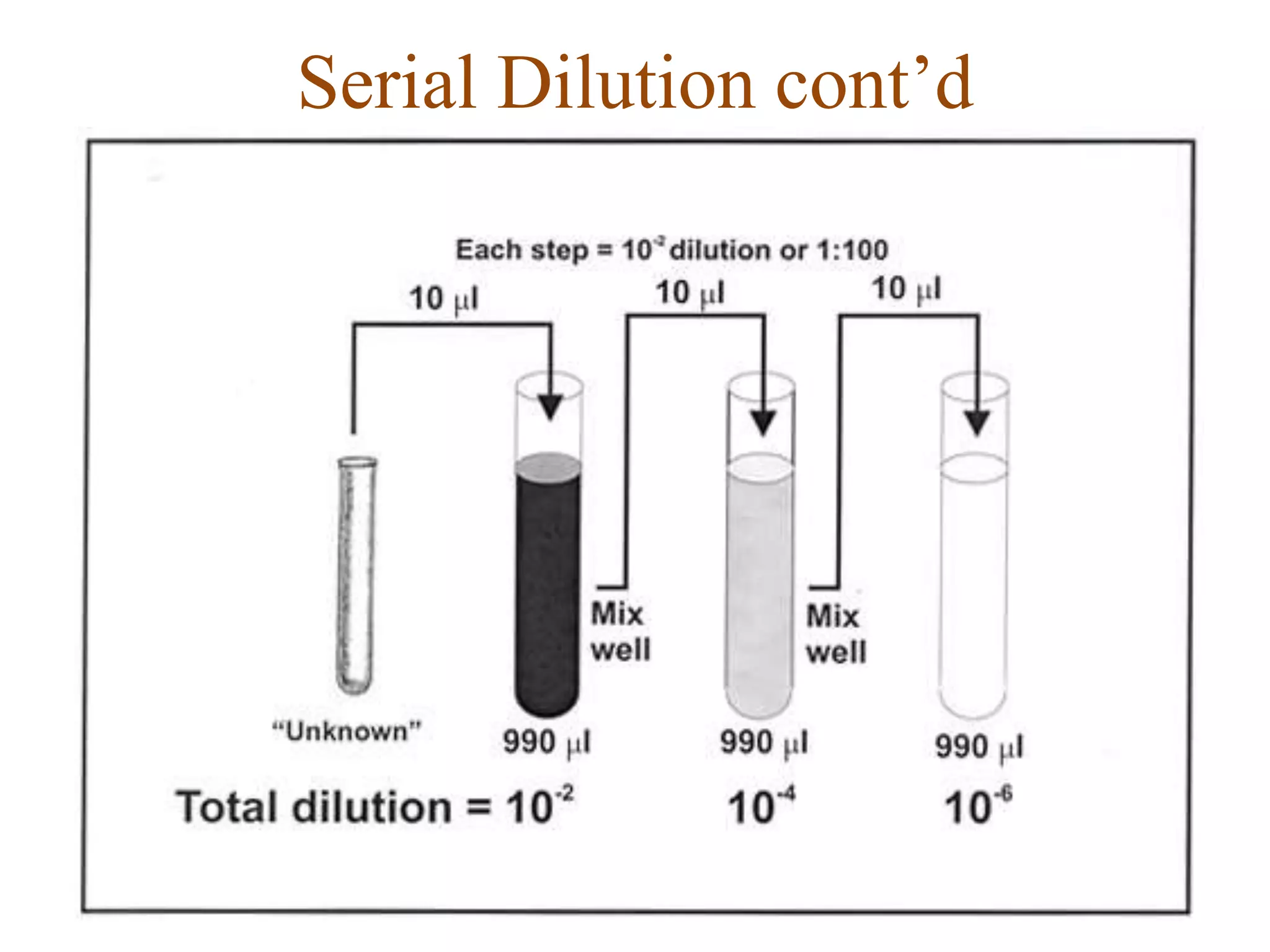 Serial Dilution cont’d