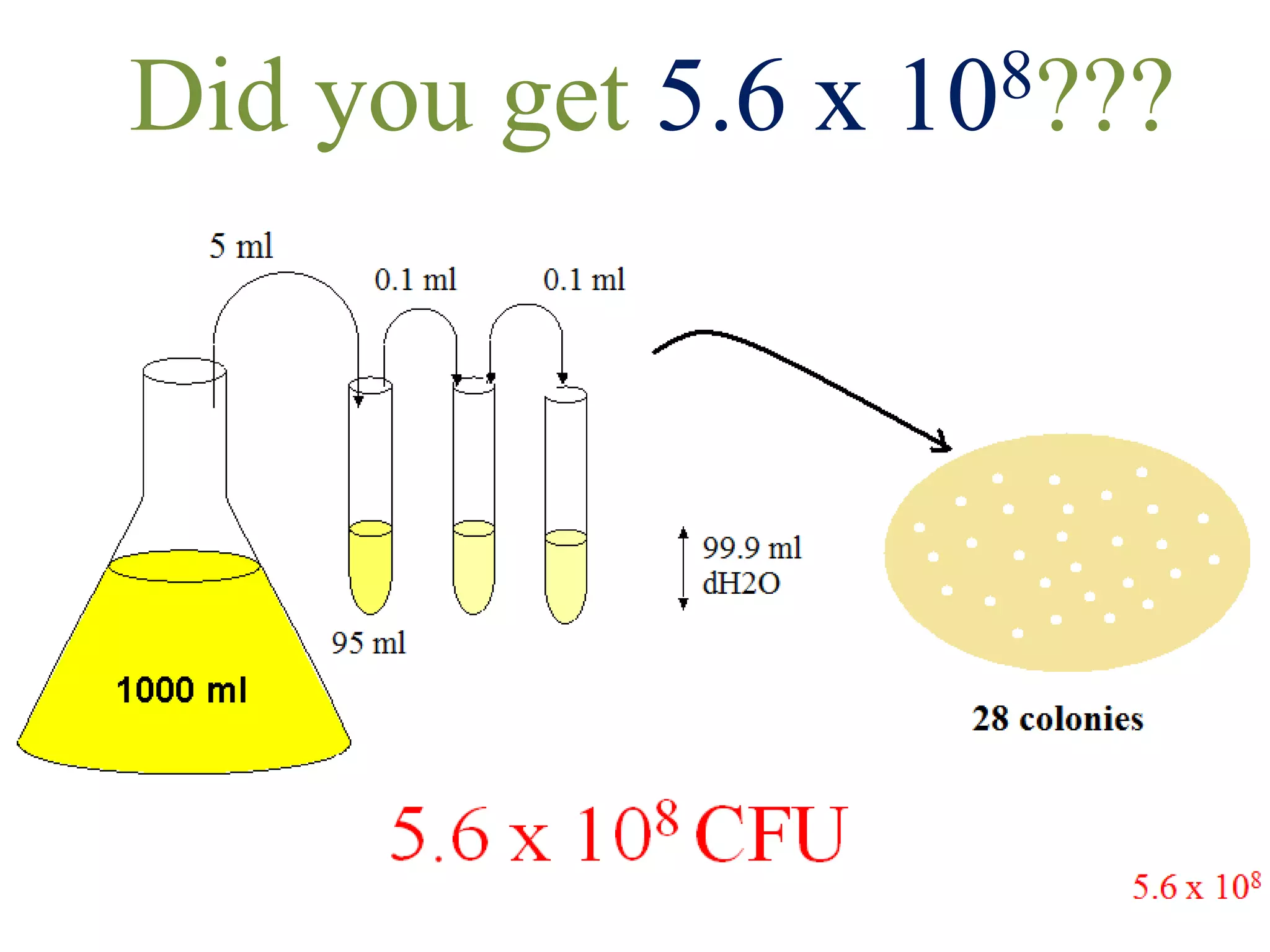 Did you get 5.6 x 108???