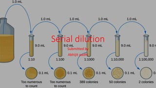 Serial dilution
Submitted by
Abhijit padhi
 