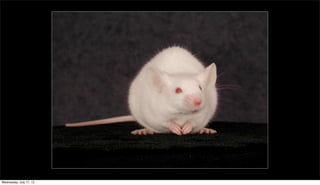 Wednesday, July 17, 13
 