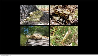 Wednesday, July 17, 13
 