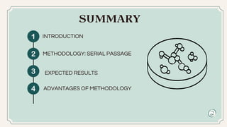 SERIAL PASSAGE IN CANDIDA ALBICANS A METHODOLOGY FOR EVALUATING ...