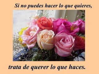 Si no puedes hacer lo que quieres, trata de querer lo que haces.